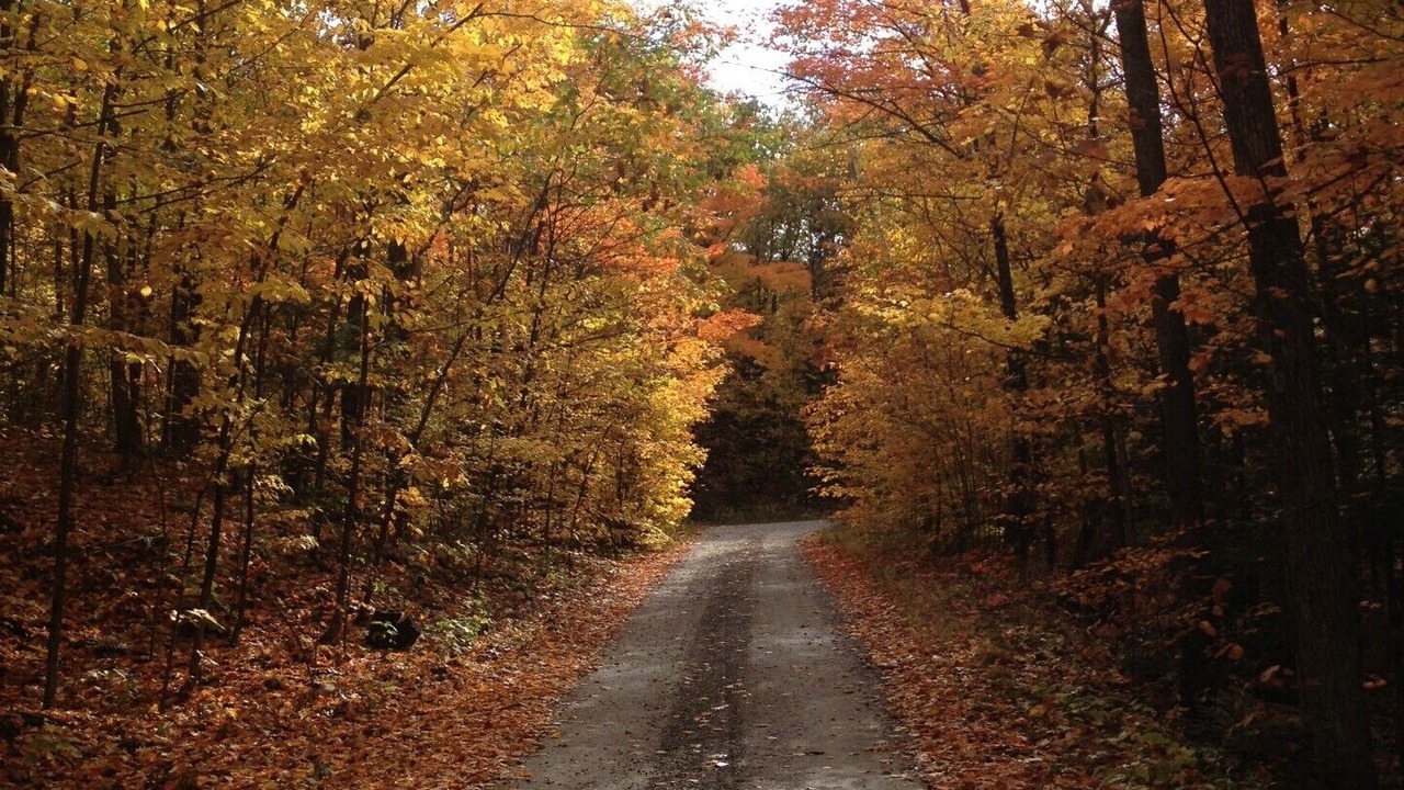 Photo of Outdoor in La Peche