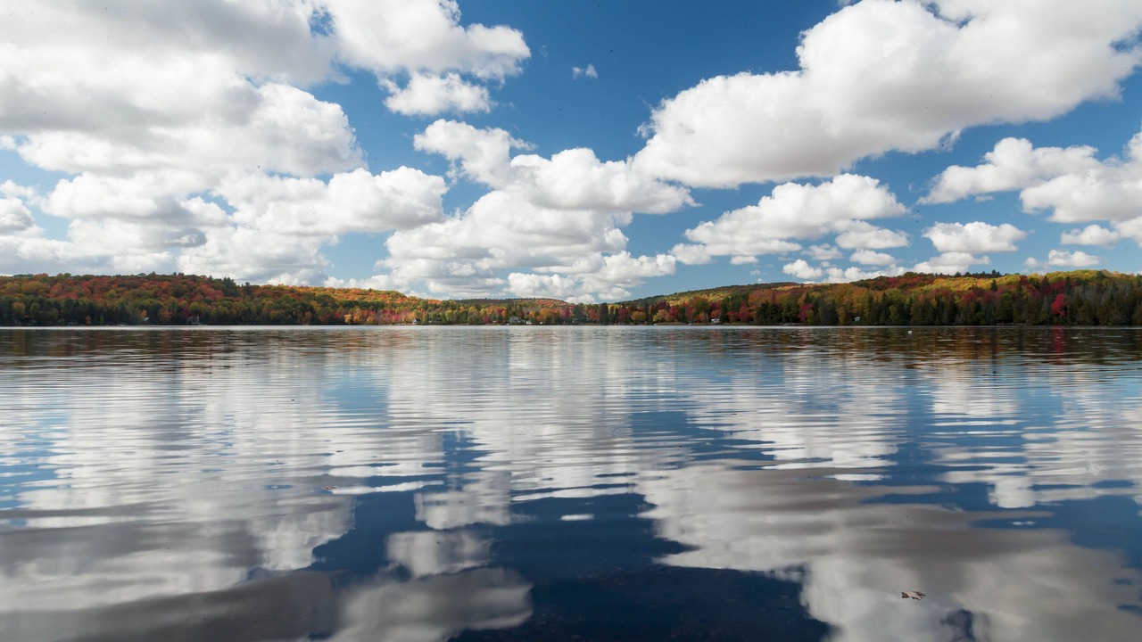 Photo of Others in La Peche