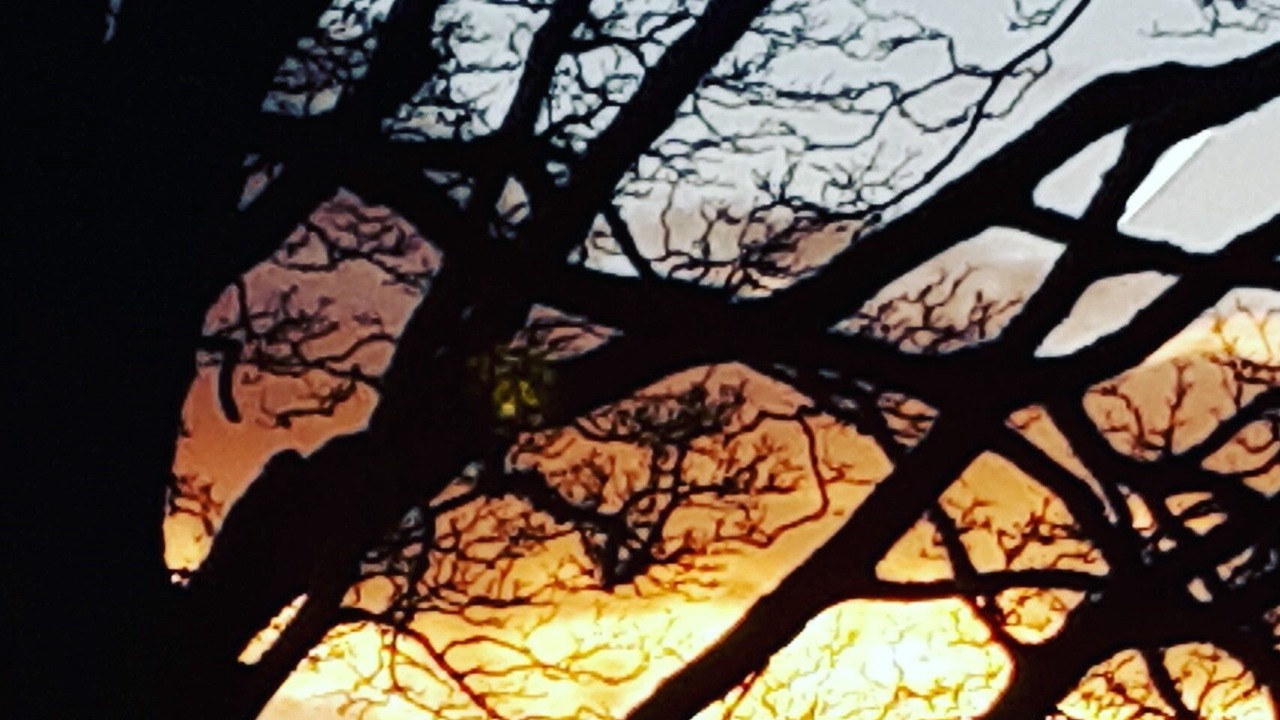 Photo of Others in Sanquhar