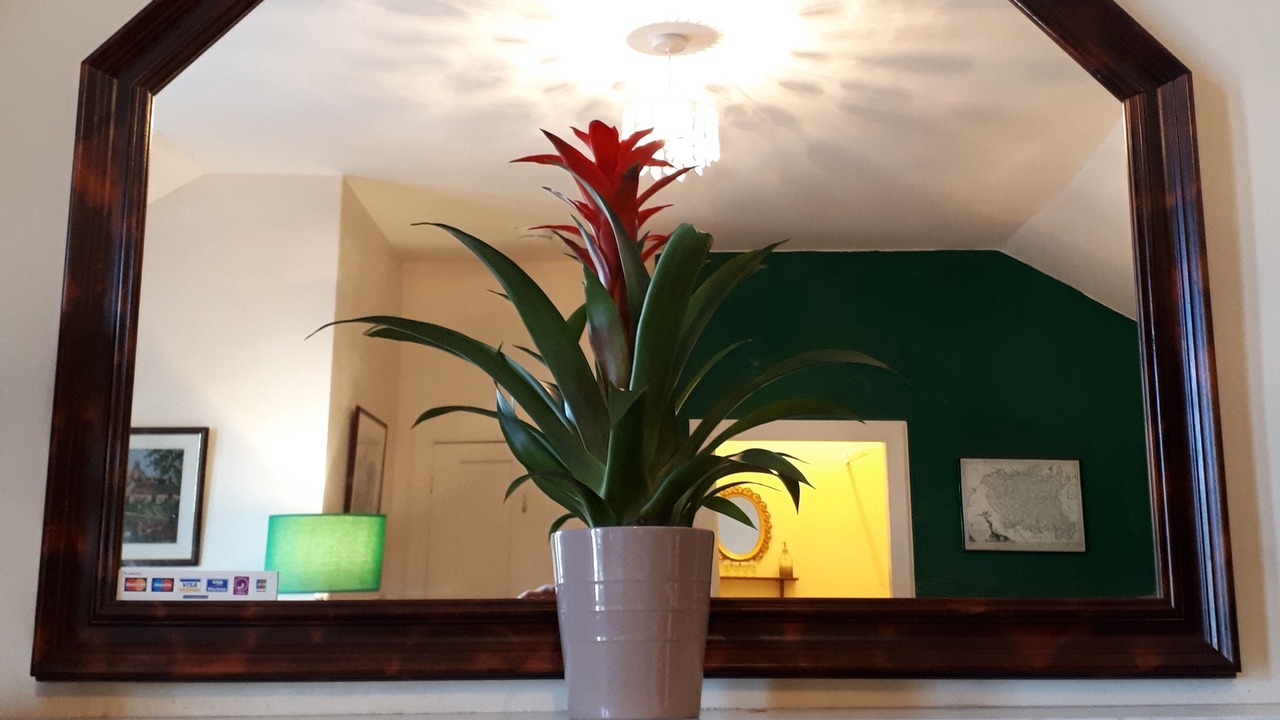 Photo of Others in Sanquhar