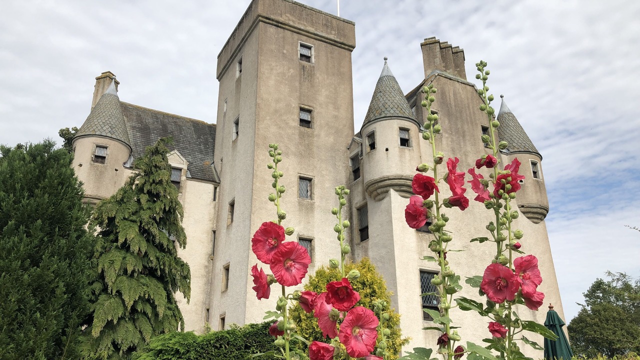 Photo of Outdoor in Insch