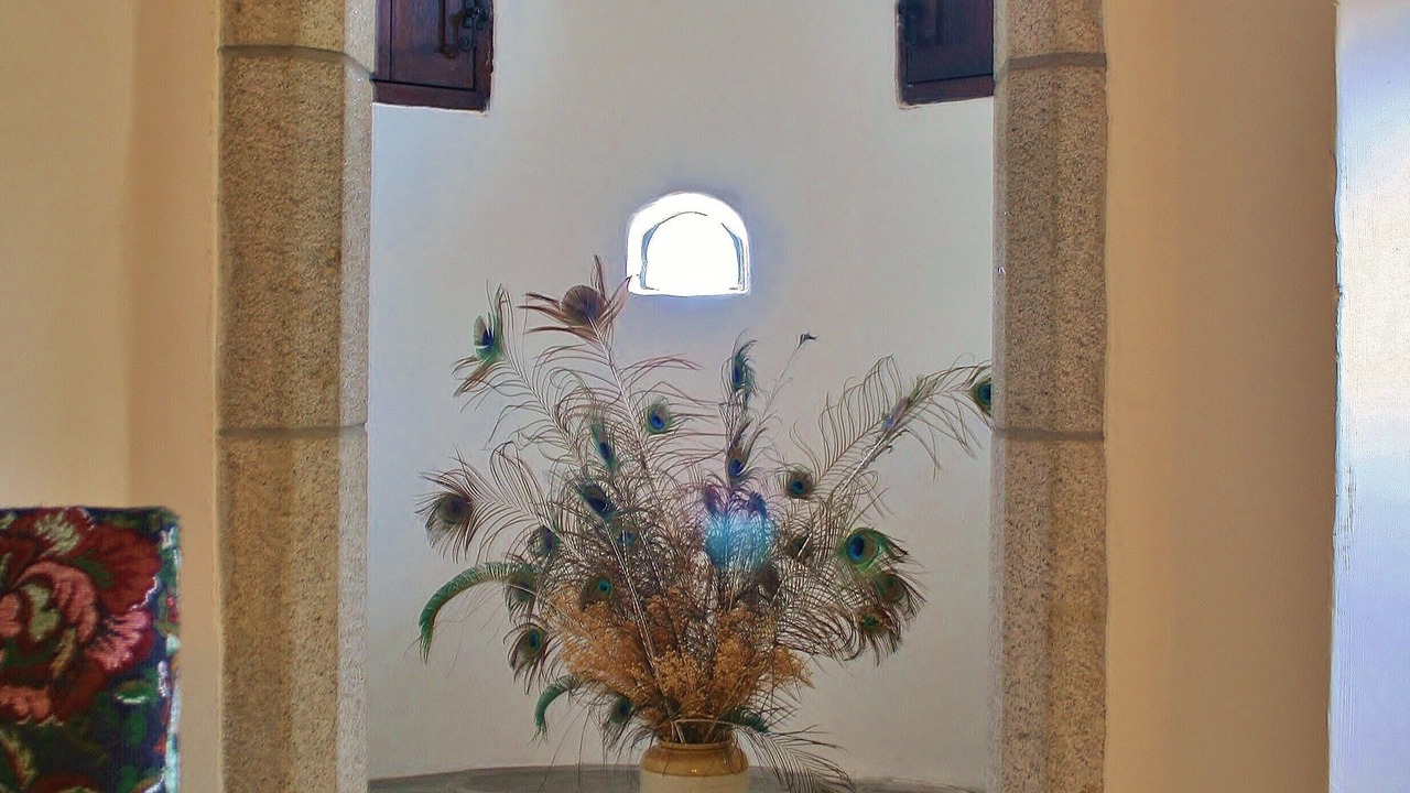 Photo of Others in Insch