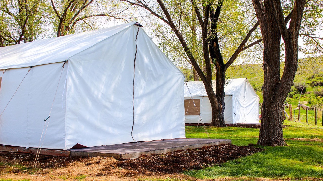 Photo of Others in Shell