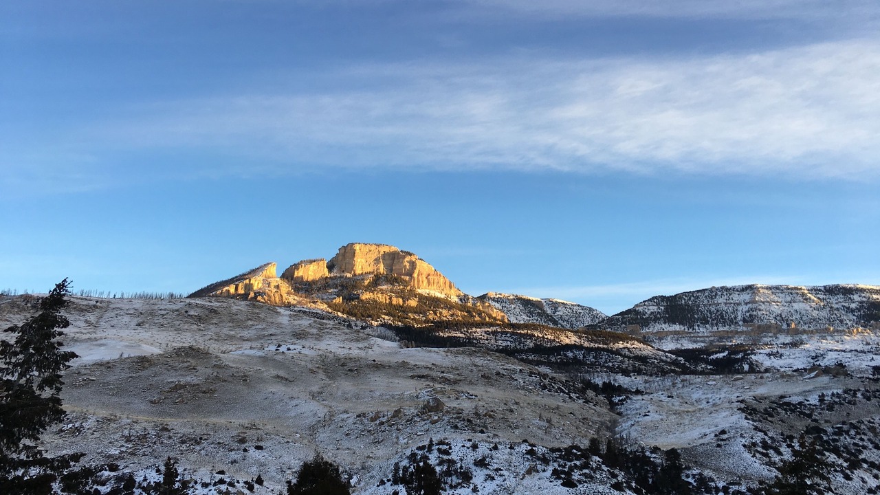 Photo of Others in Shell