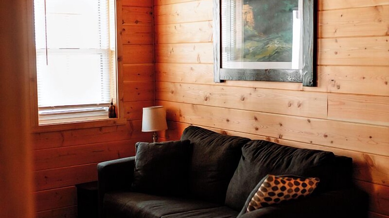 Photo of Others in Shell