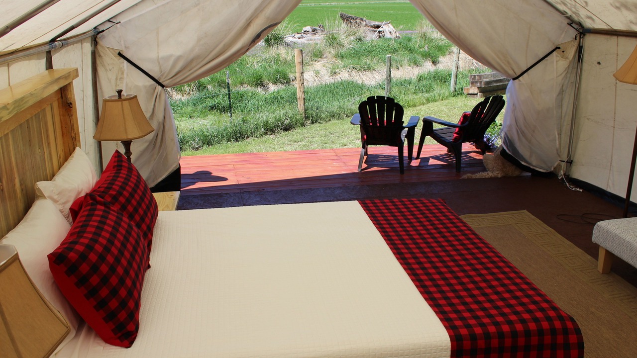 Photo of Bedroom in Shell