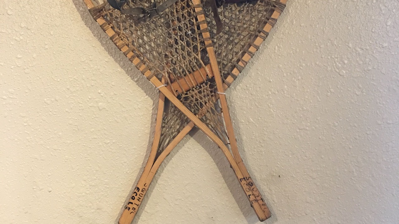 Photo of Others in Shell