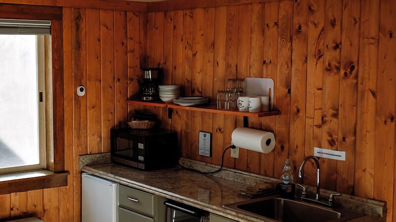 Photo of Others in Shell