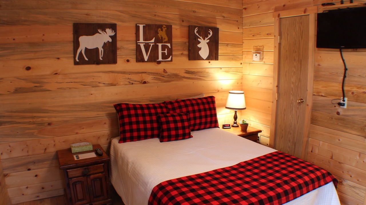 Photo of Others in Shell