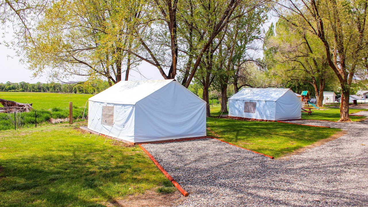 Photo of Others in Shell