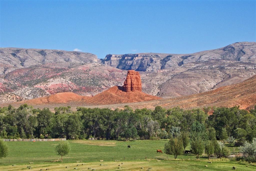 Photo of Others in Shell