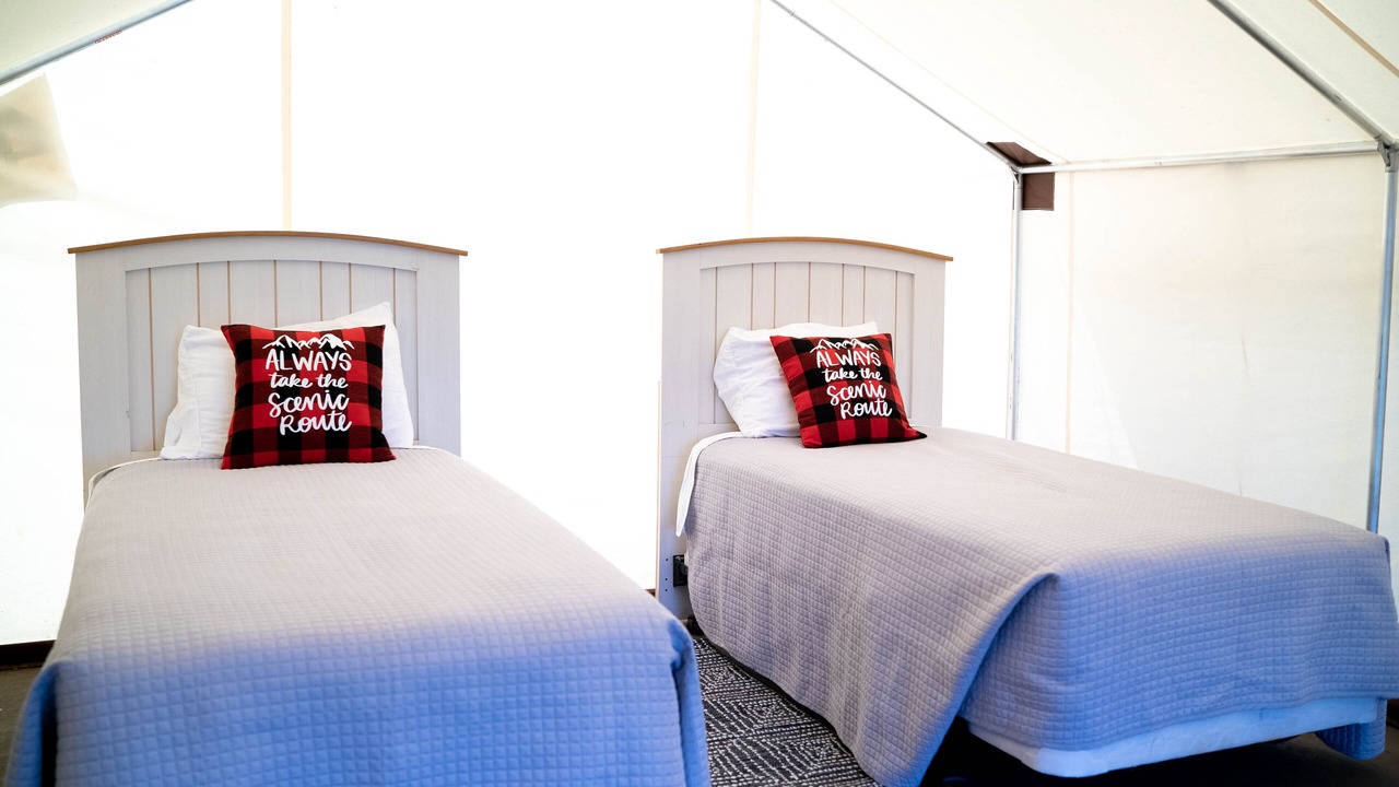 Photo of Others in Shell