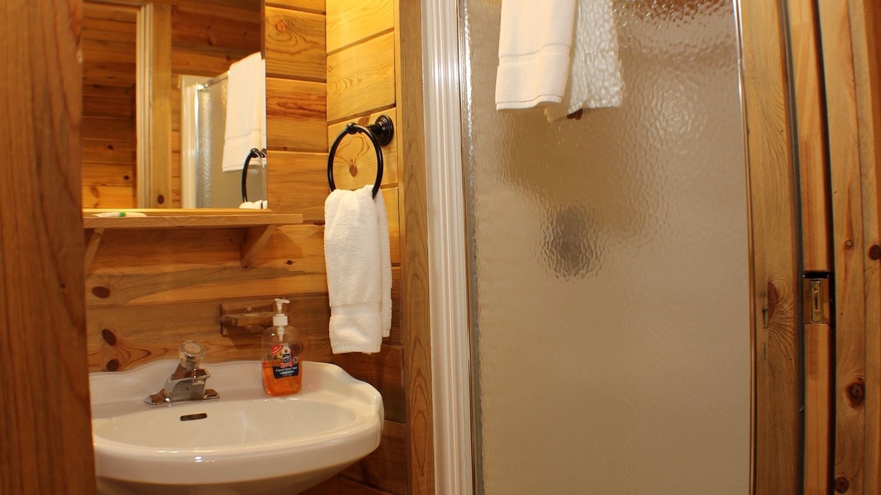 Photo of Others in Shell