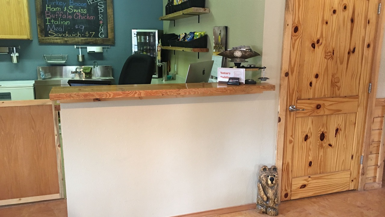 Photo of Others in Shell