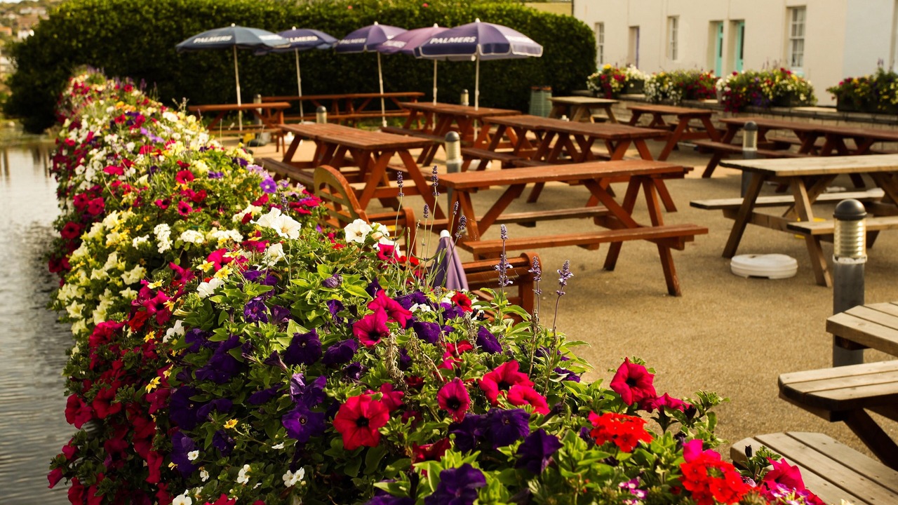 Photo of Outdoor in West Bay