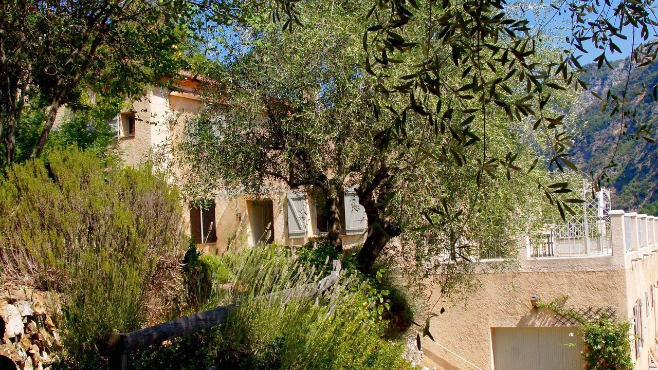 Photo of Outdoor in Utelle