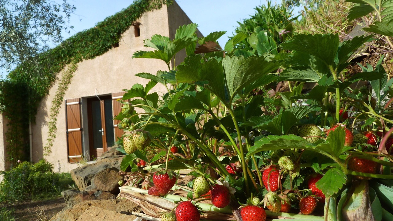 Photo of Outdoor in Utelle