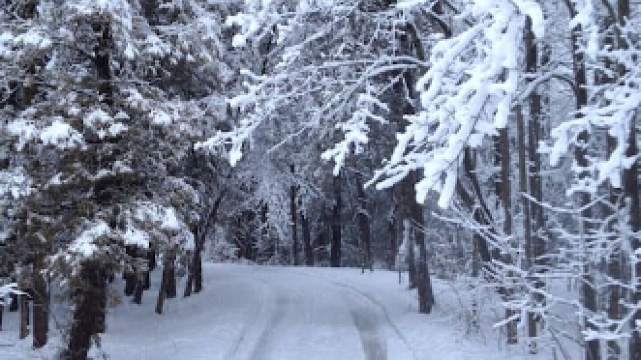 Photo of Others in Clarington