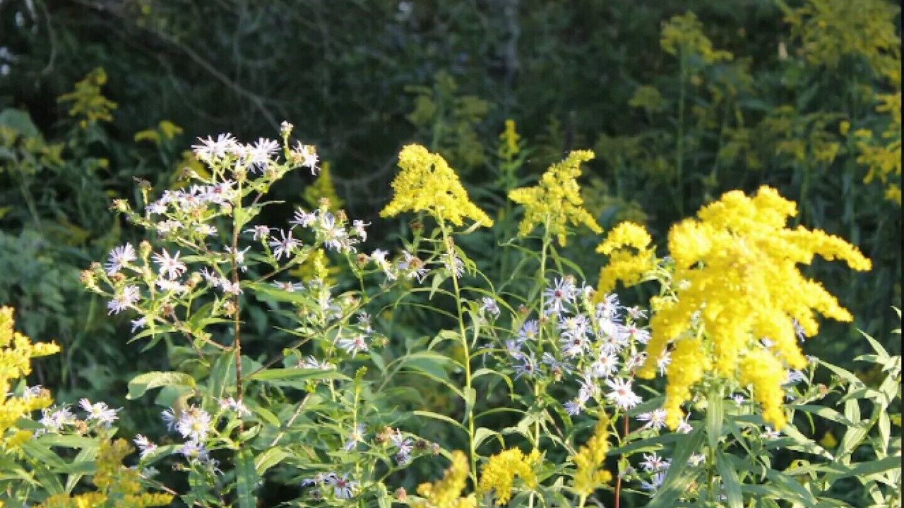 Photo of Outdoor in Clarington