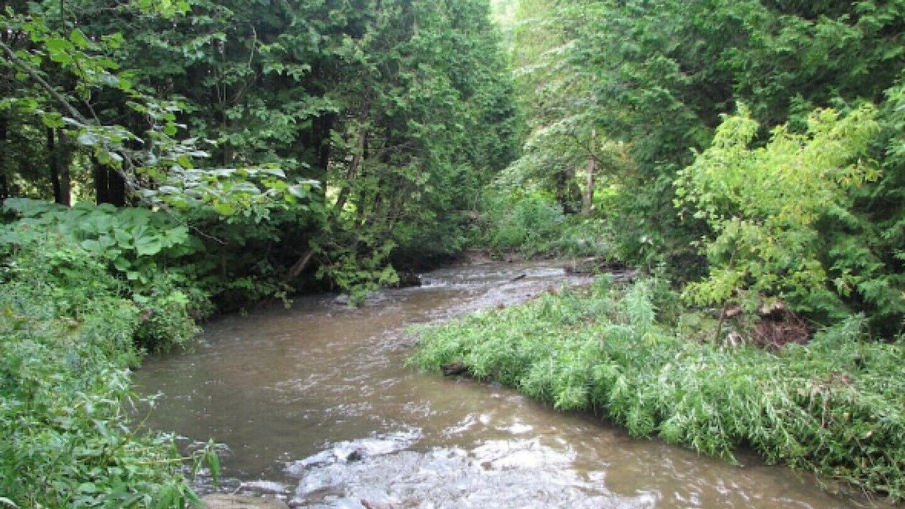Photo of Outdoor in Clarington