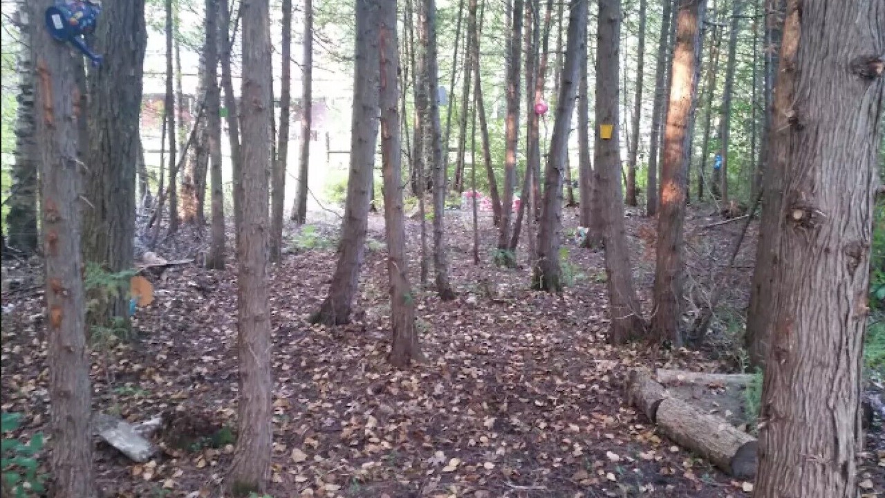 Photo of Outdoor in Clarington