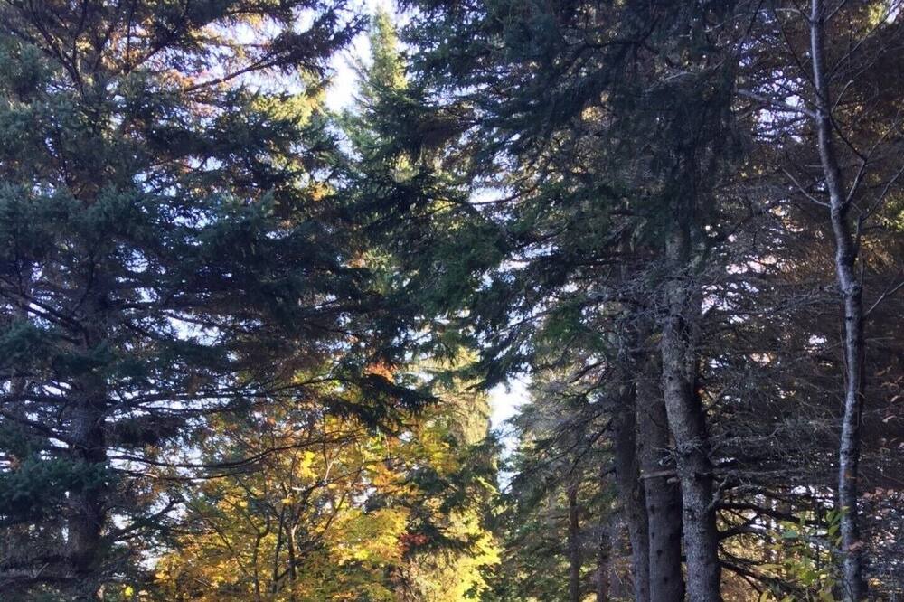 Photo of Outdoor in Jardineville
