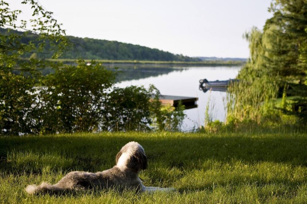 Photo of Outdoor in Otonabee-South Monaghan