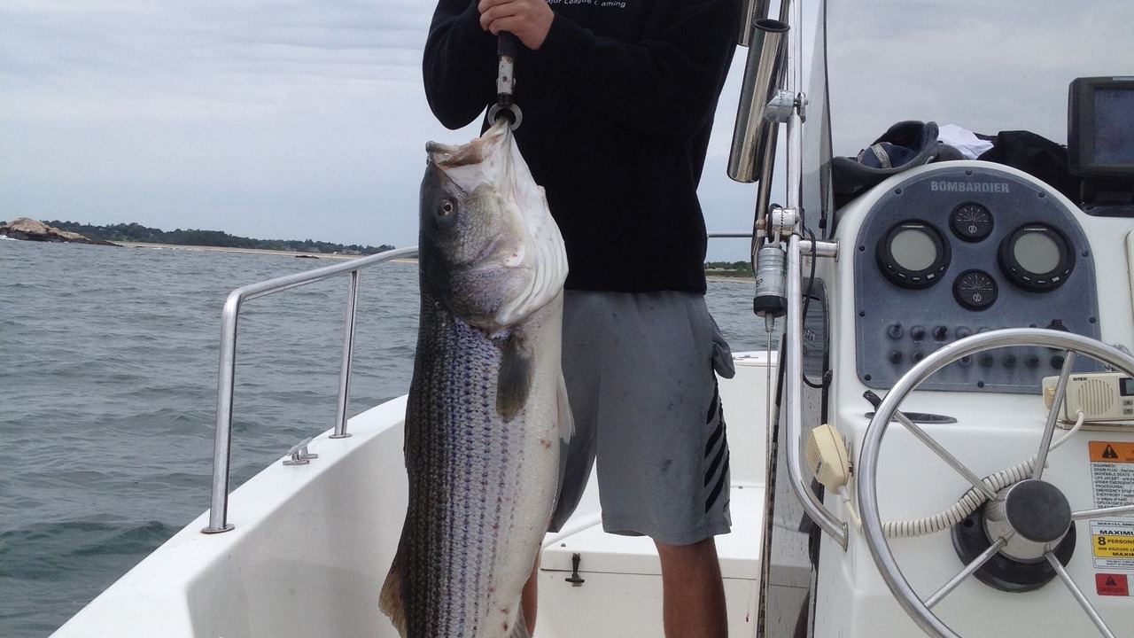 Photo of Others in Adamsville