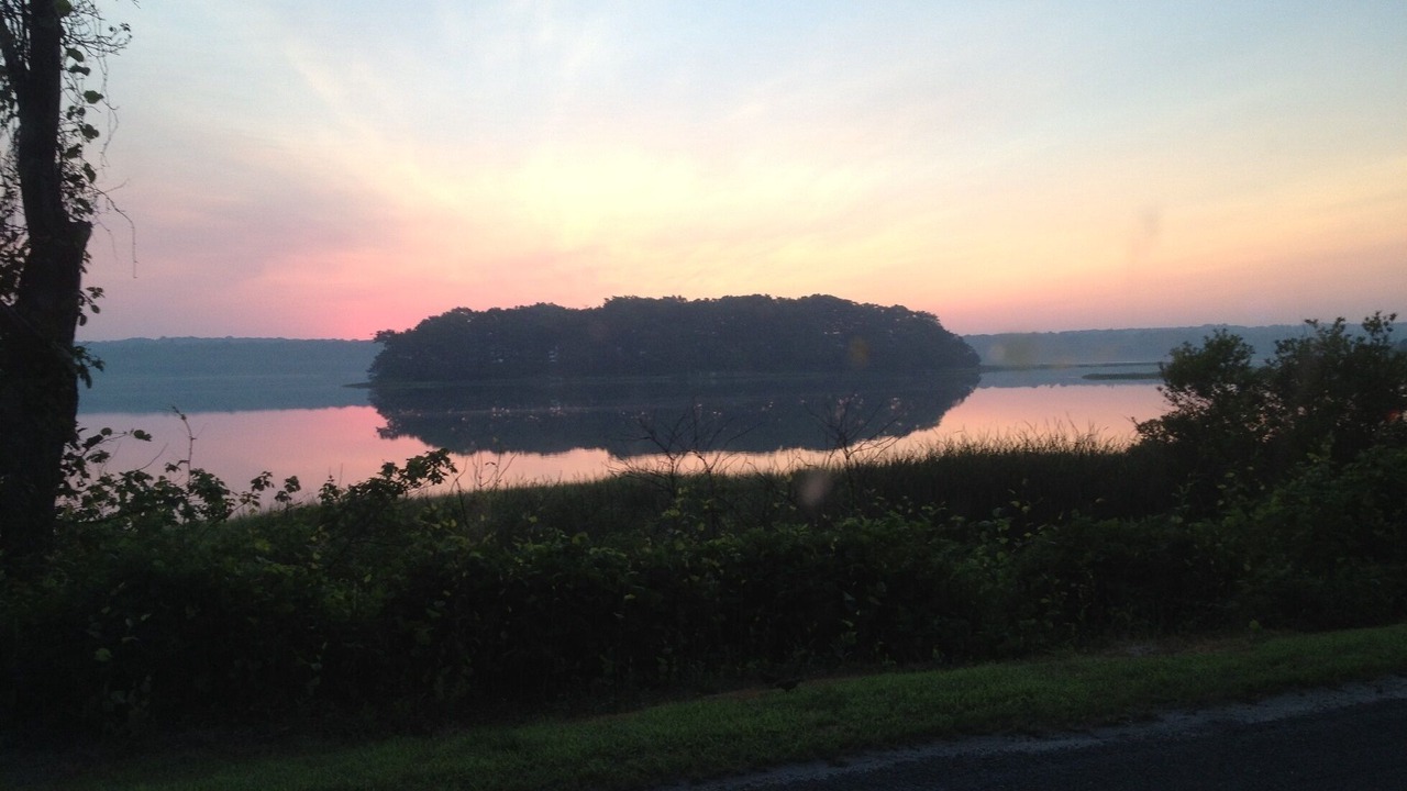 Photo of Others in Adamsville