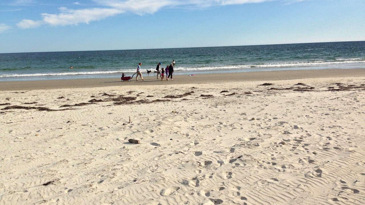 Photo of Outdoor in Adamsville