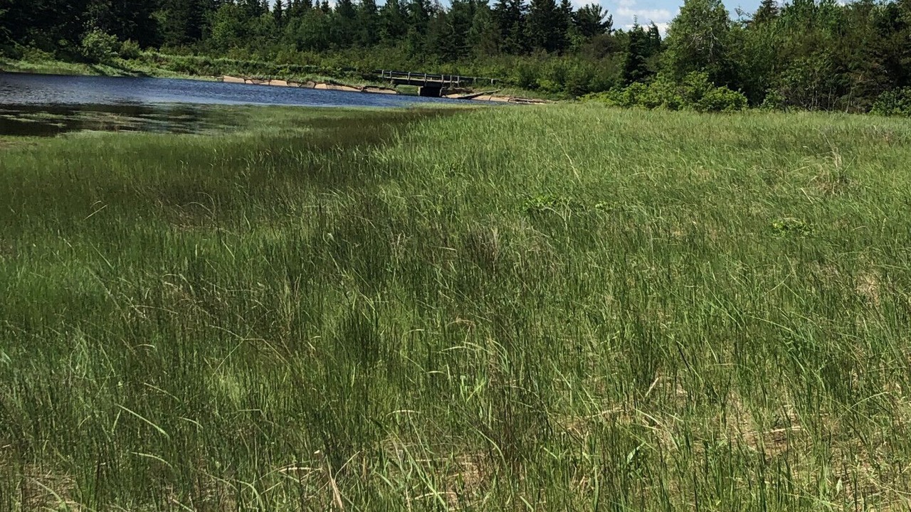 Photo of Others in Pirogue