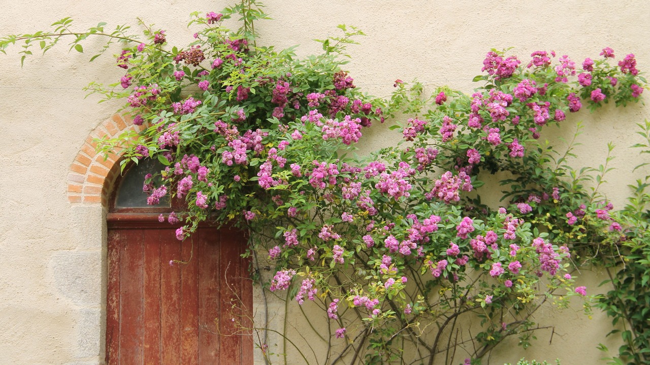 Photo of Outdoor in Le Pin