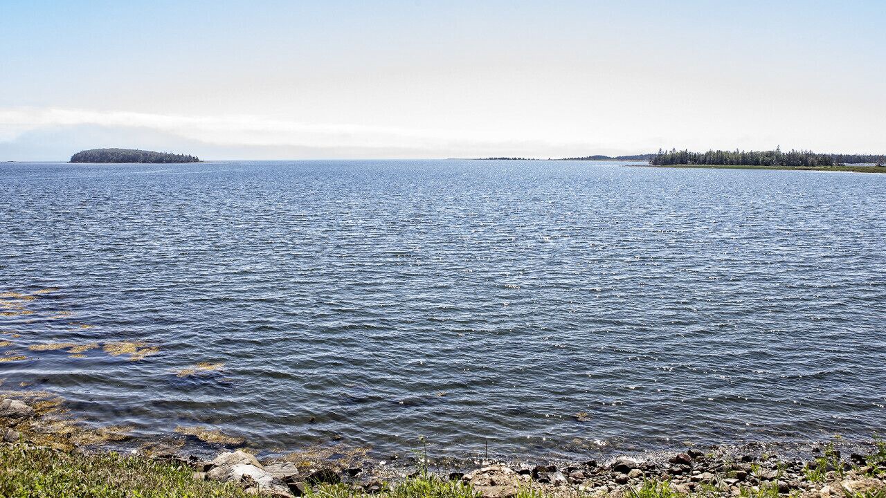 Photo of Others in Yarmouth County