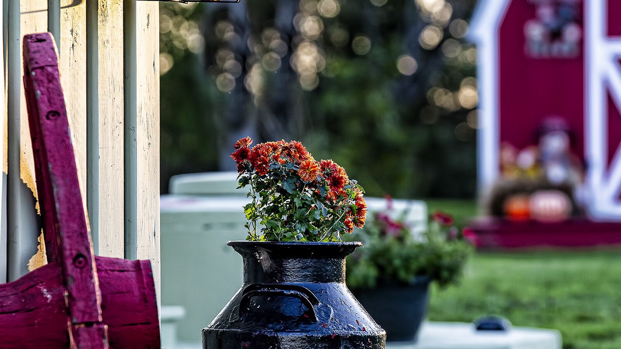 Photo of Outdoor in Yarmouth County