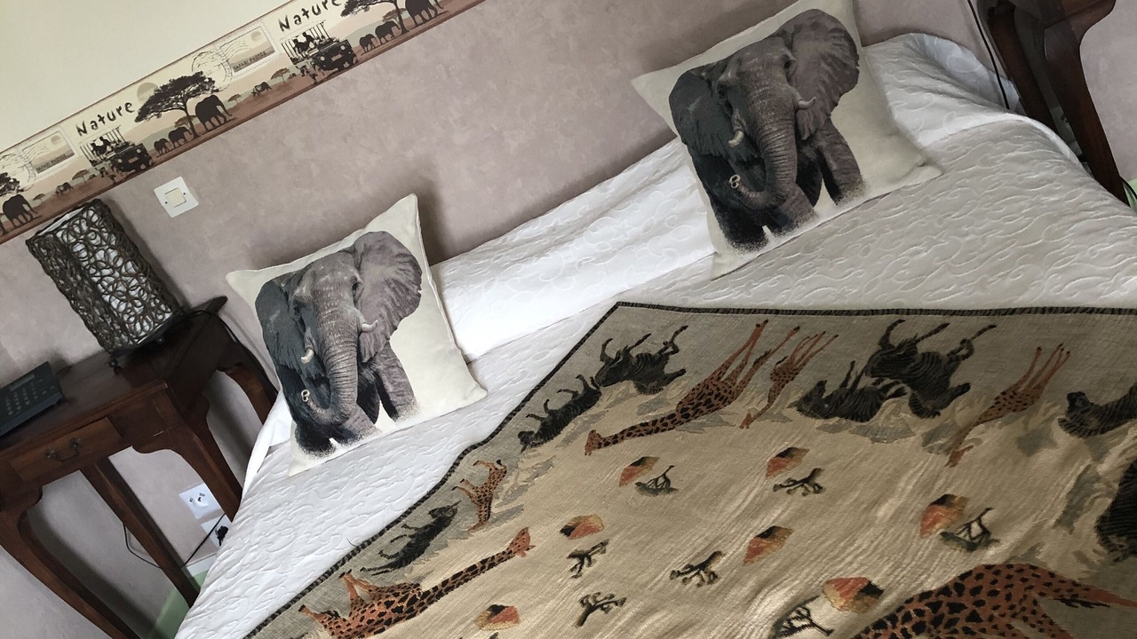 Photo of Bedroom in Saint-Satur