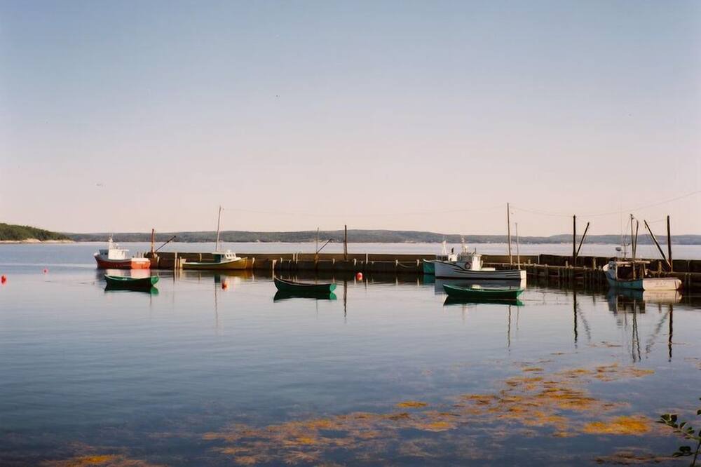 Photo of Others in Mill Cove