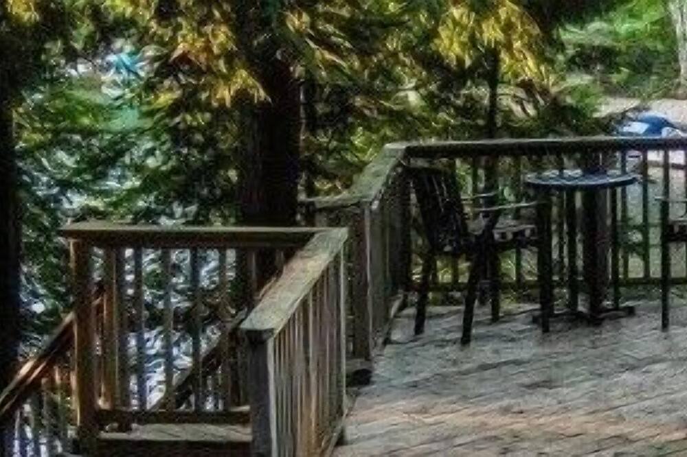 Photo of Others in Haliburton