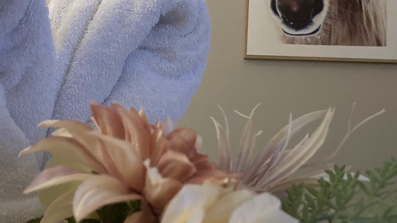 Photo of Bedroom in Queenscliff