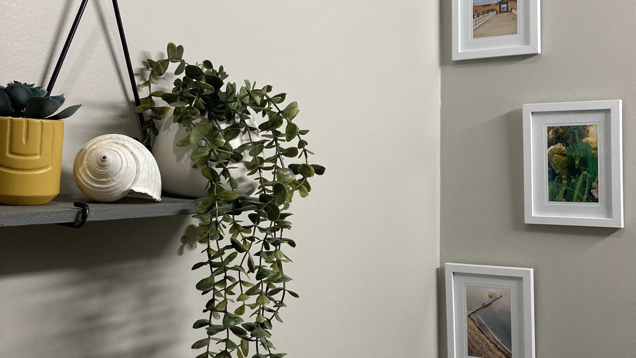 Photo of Bathroom in Queenscliff