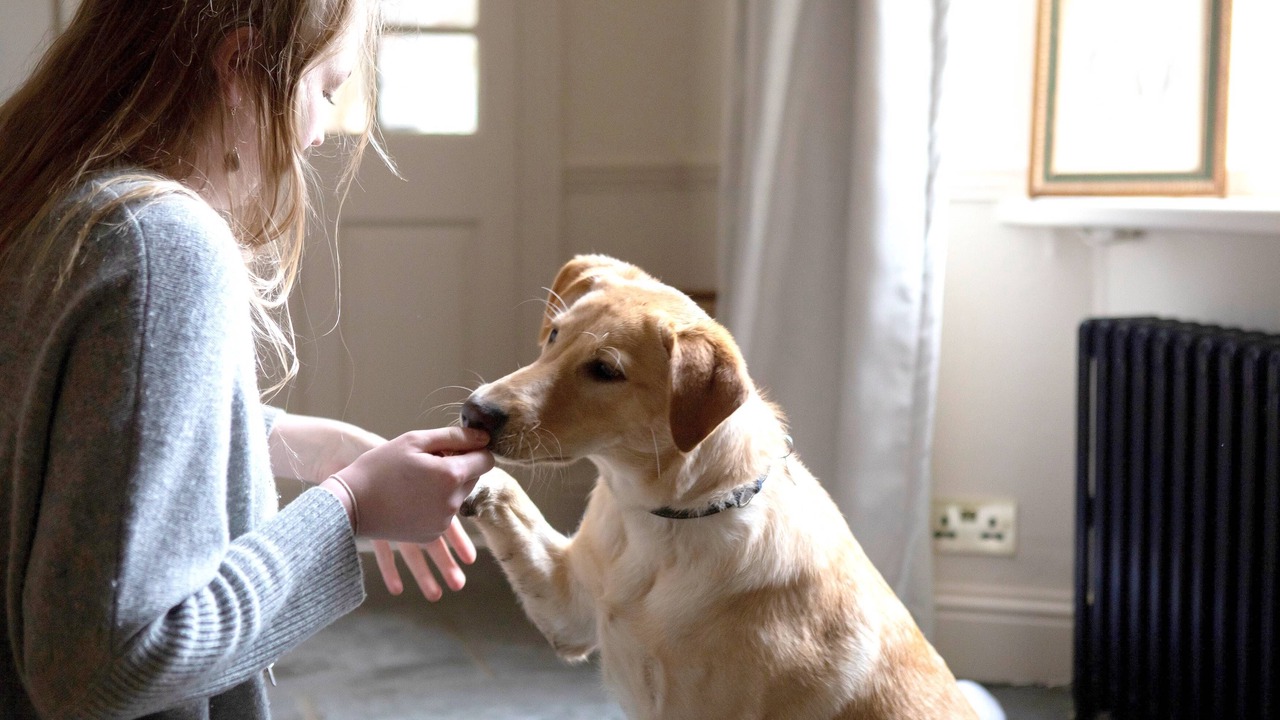 Photo of Others in Grasmere