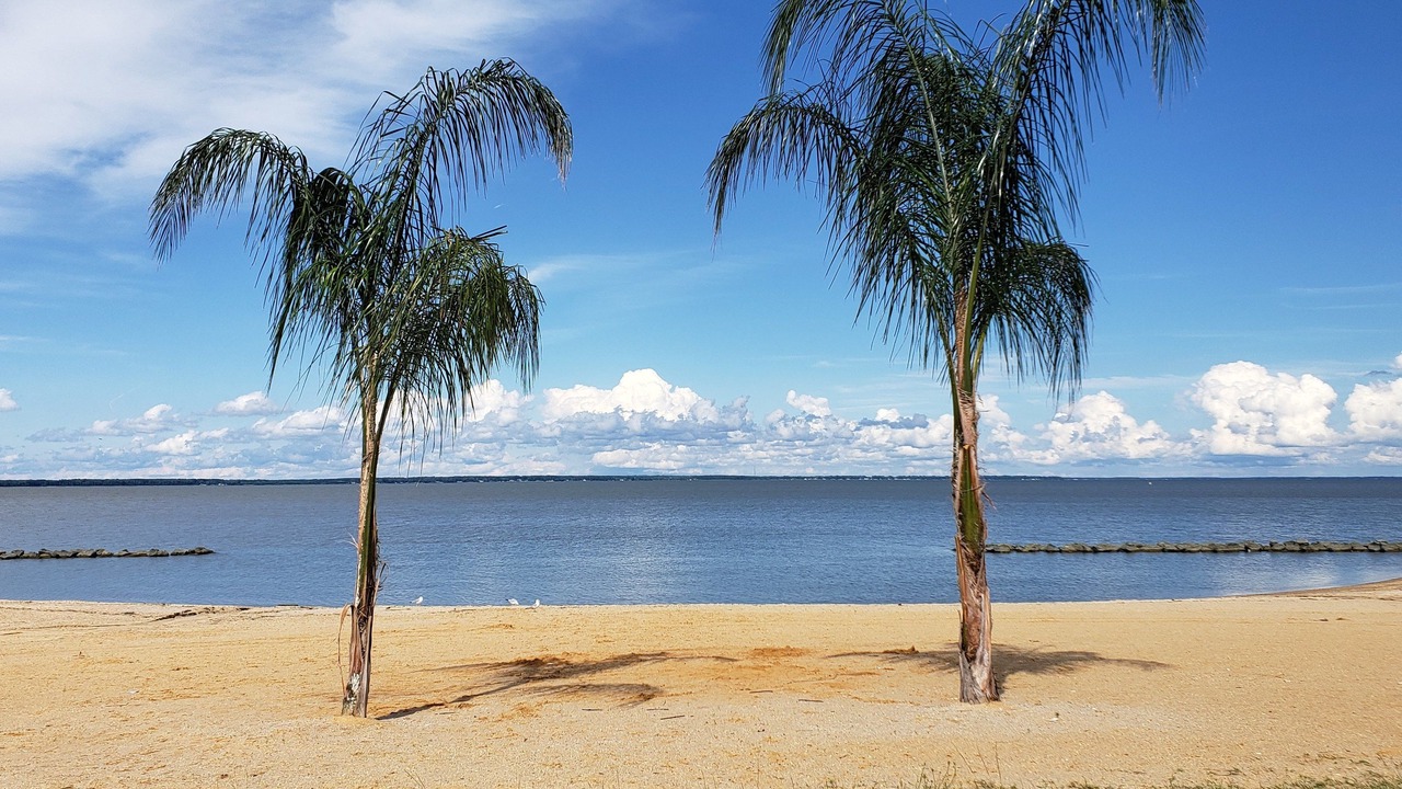 Photo of Others in Colonial Beach