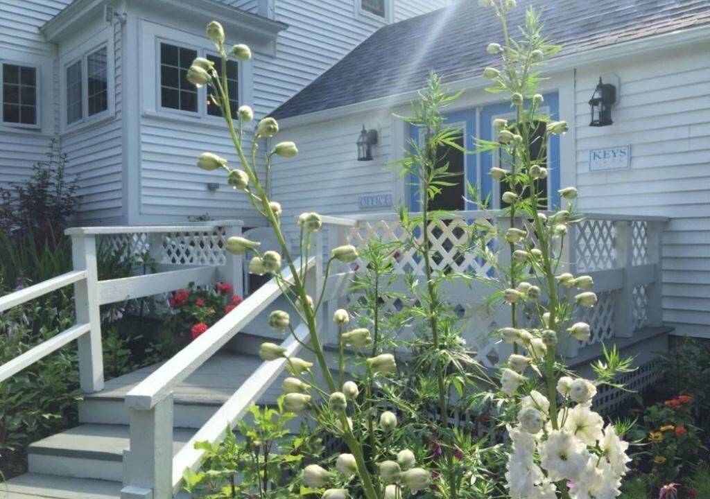 Photo of Others in Cape Neddick