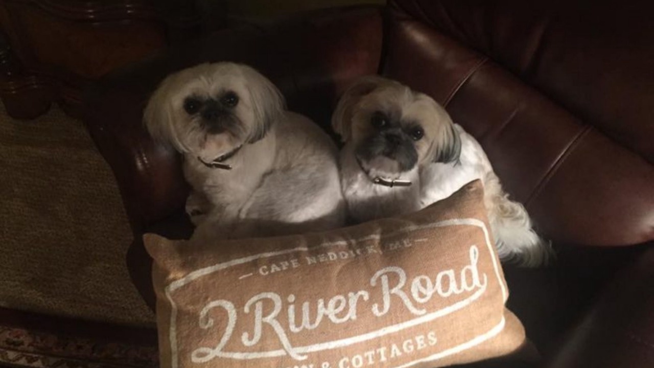 Photo of Others in Cape Neddick