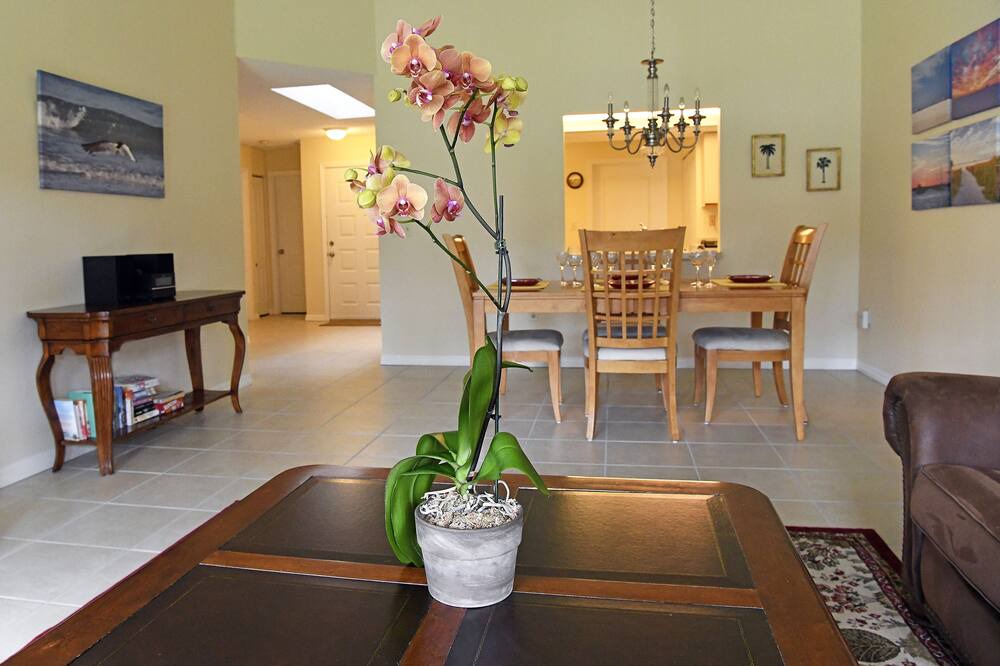 Photo of Livingroom in Sarasota