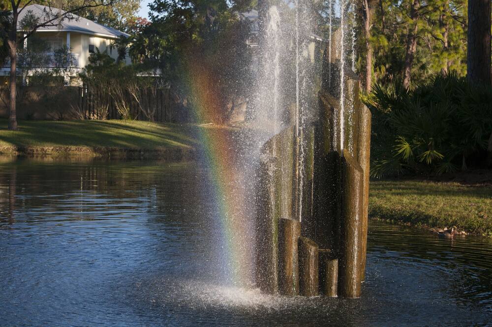 Photo of Outdoor in Sarasota