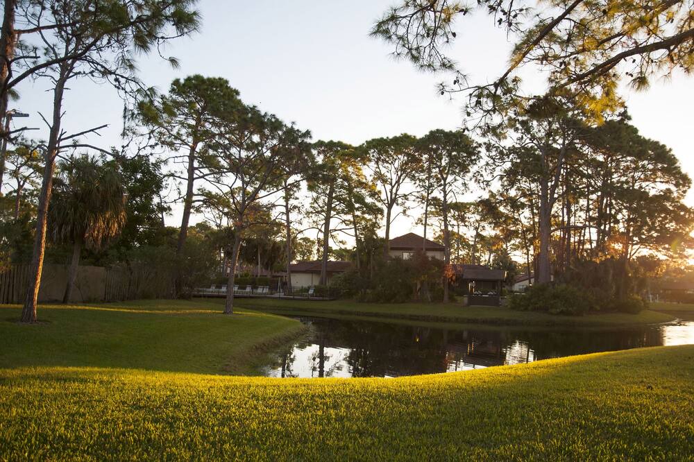 Photo of Others in Sarasota