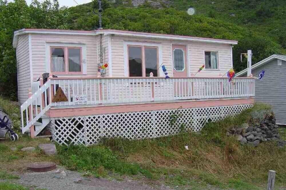 Photo of Others in Petty Harbour