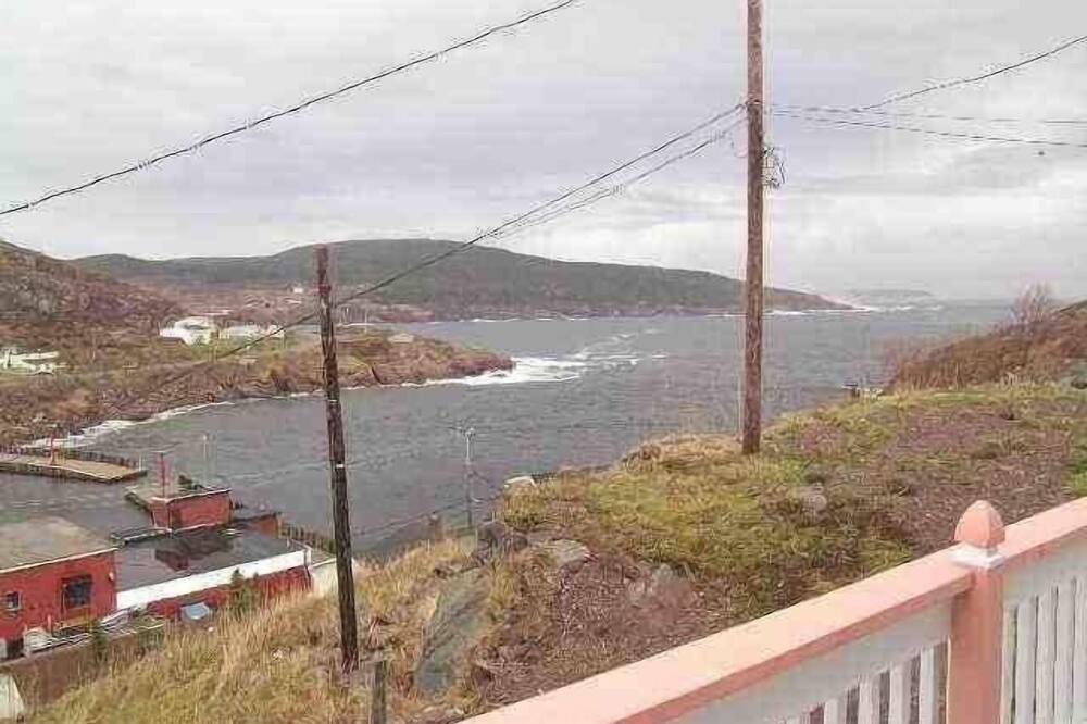 Photo of Others in Petty Harbour