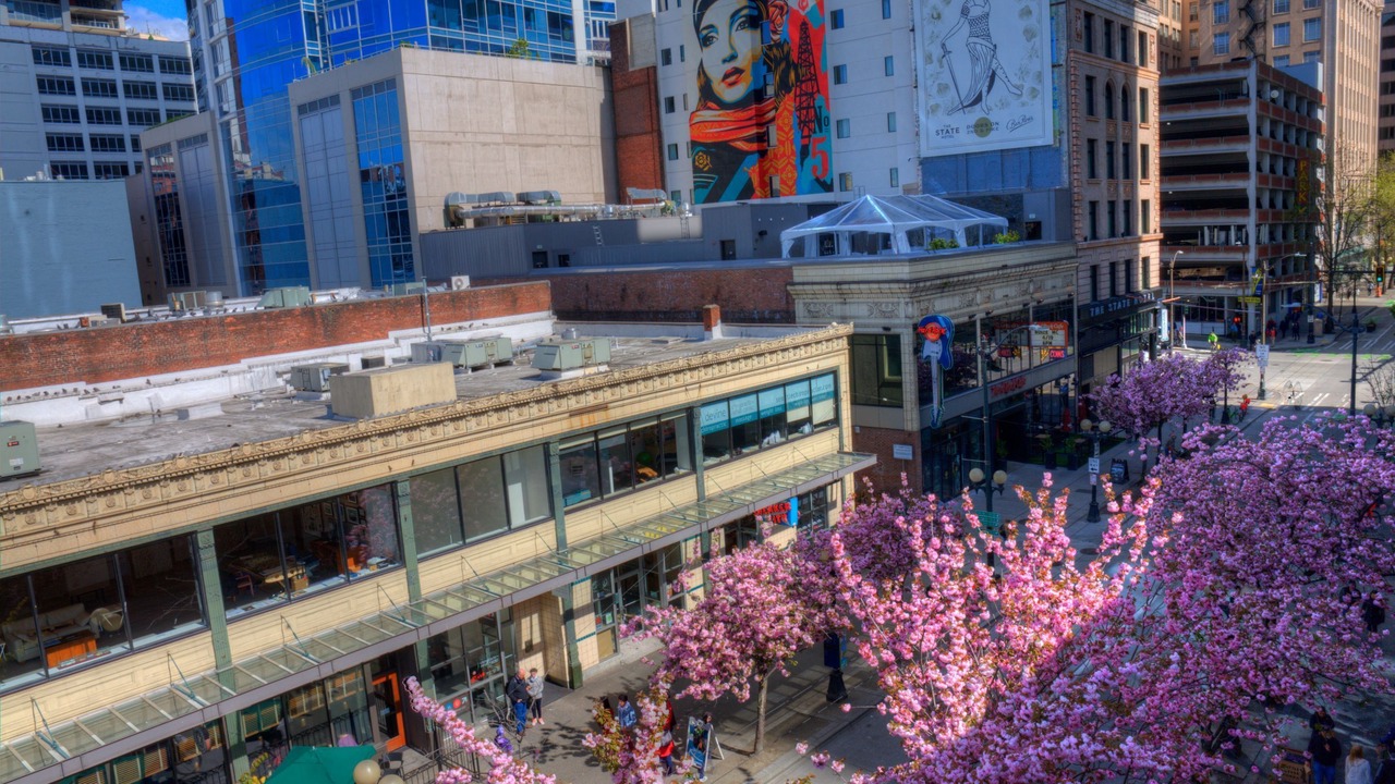 Photo of Bedroom in Downtown Seattle