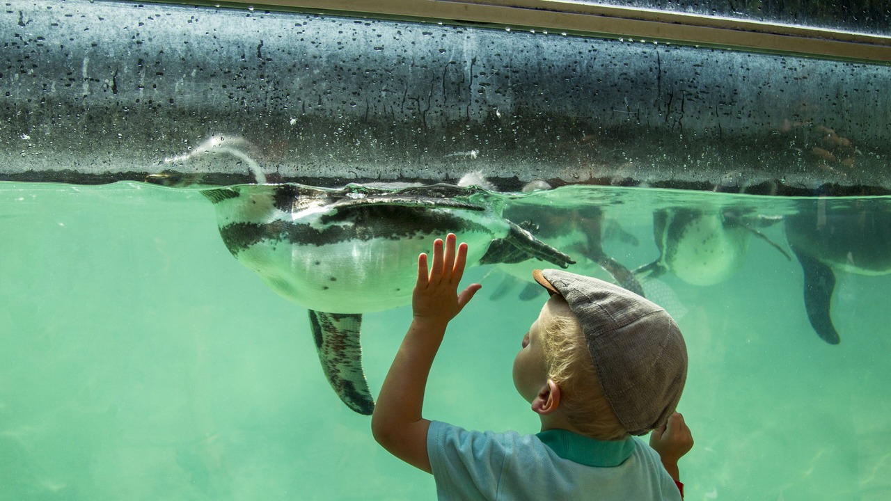 Photo of Others in La Fleche